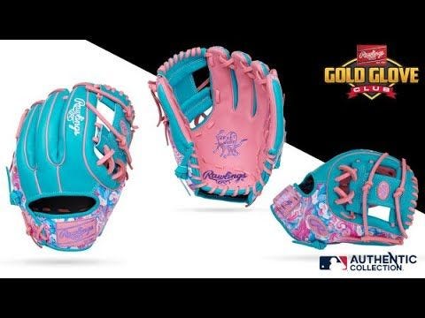 Rawlings Gold Glove Club January 2025 Review